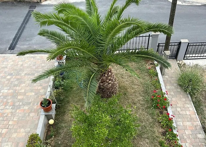 Markovic Sea View Zadar